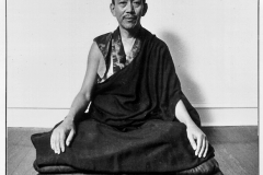 Trogawa Rinpoche with name copy